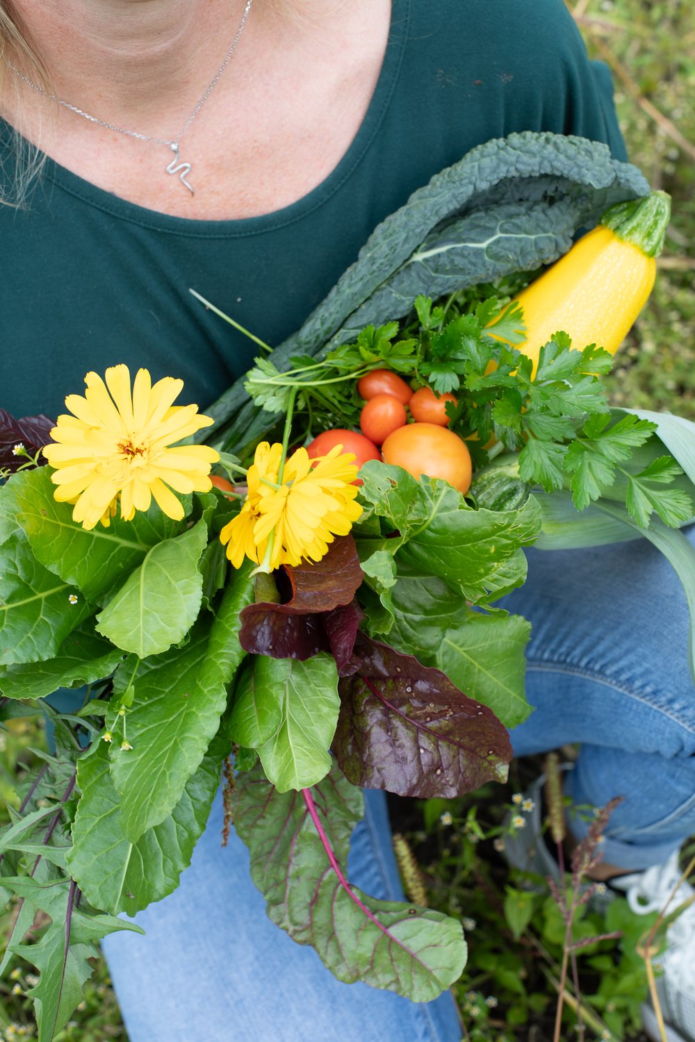 Frisch geerntetes Gemüse, Kräuter und Blüten – gesunde Ernährung